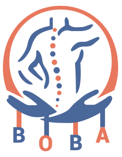 Bangladesh Orthopedic Business Association